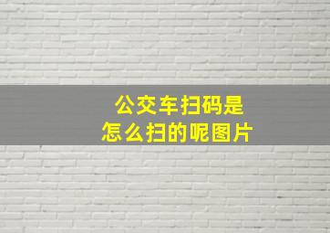 公交车扫码是怎么扫的呢图片