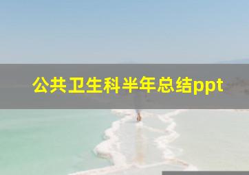 公共卫生科半年总结ppt