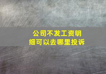 公司不发工资明细可以去哪里投诉