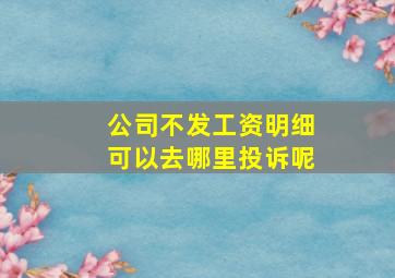 公司不发工资明细可以去哪里投诉呢