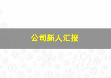 公司新人汇报