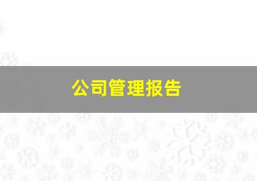 公司管理报告