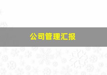 公司管理汇报