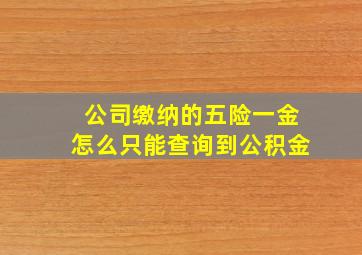 公司缴纳的五险一金怎么只能查询到公积金