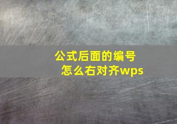 公式后面的编号怎么右对齐wps