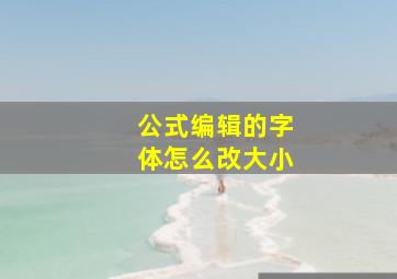 公式编辑的字体怎么改大小