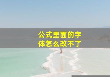 公式里面的字体怎么改不了