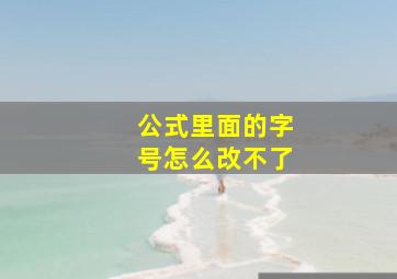 公式里面的字号怎么改不了