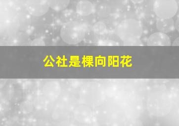 公社是棵向阳花