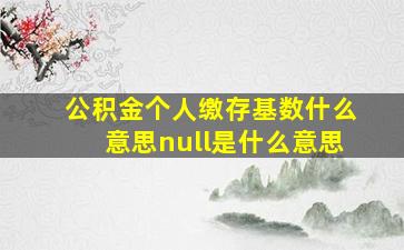 公积金个人缴存基数什么意思null是什么意思