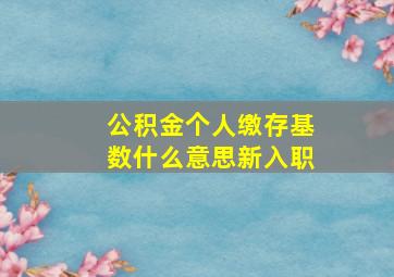 公积金个人缴存基数什么意思新入职