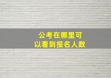 公考在哪里可以看到报名人数