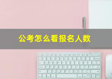 公考怎么看报名人数