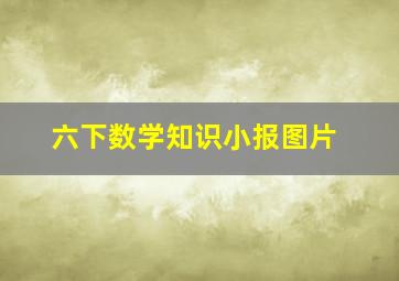 六下数学知识小报图片