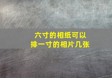 六寸的相纸可以排一寸的相片几张