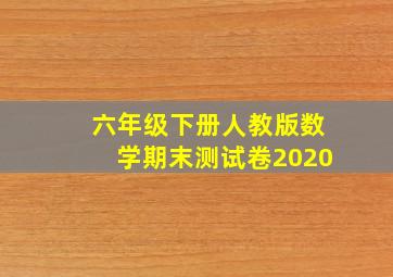 六年级下册人教版数学期末测试卷2020