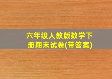 六年级人教版数学下册期末试卷(带答案)