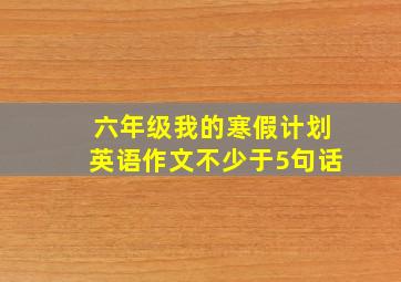 六年级我的寒假计划英语作文不少于5句话