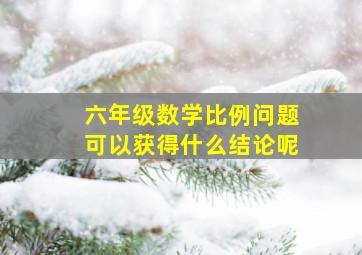 六年级数学比例问题可以获得什么结论呢