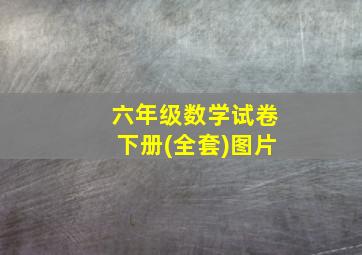 六年级数学试卷下册(全套)图片