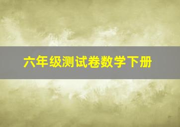 六年级测试卷数学下册