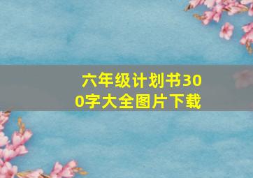 六年级计划书300字大全图片下载