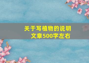 关于写植物的说明文章500字左右