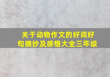 关于动物作文的好词好句摘抄及感悟大全三年级