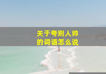 关于夸别人帅的词语怎么说