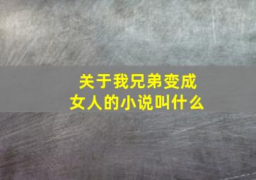 关于我兄弟变成女人的小说叫什么