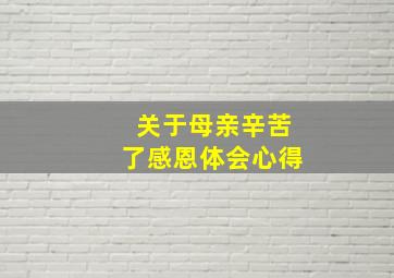 关于母亲辛苦了感恩体会心得