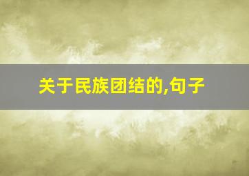 关于民族团结的,句子