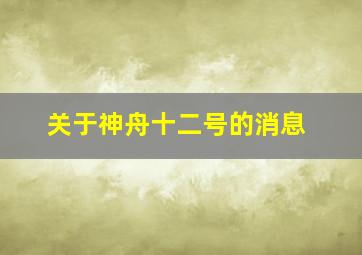 关于神舟十二号的消息