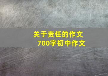 关于责任的作文700字初中作文