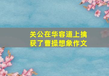 关公在华容道上擒获了曹操想象作文