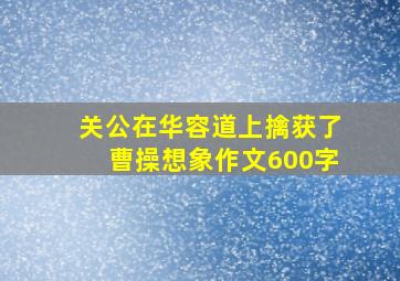 关公在华容道上擒获了曹操想象作文600字