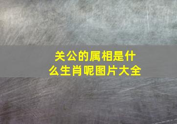 关公的属相是什么生肖呢图片大全