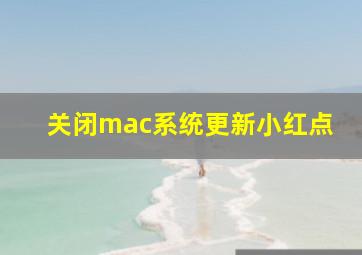 关闭mac系统更新小红点