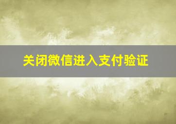 关闭微信进入支付验证