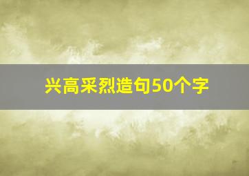 兴高采烈造句50个字