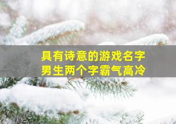 具有诗意的游戏名字男生两个字霸气高冷