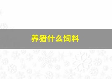 养猪什么饲料