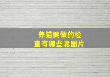 养猫要做的检查有哪些呢图片