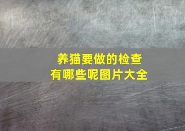 养猫要做的检查有哪些呢图片大全