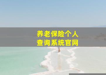 养老保险个人查询系统官网