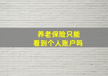 养老保险只能看到个人账户吗