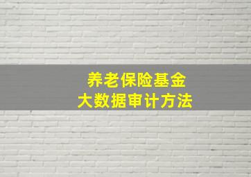 养老保险基金大数据审计方法