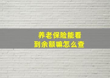 养老保险能看到余额嘛怎么查