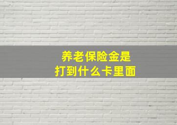 养老保险金是打到什么卡里面