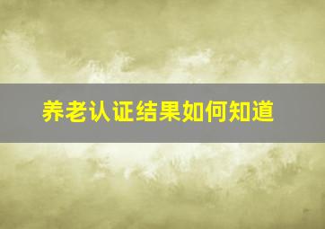 养老认证结果如何知道